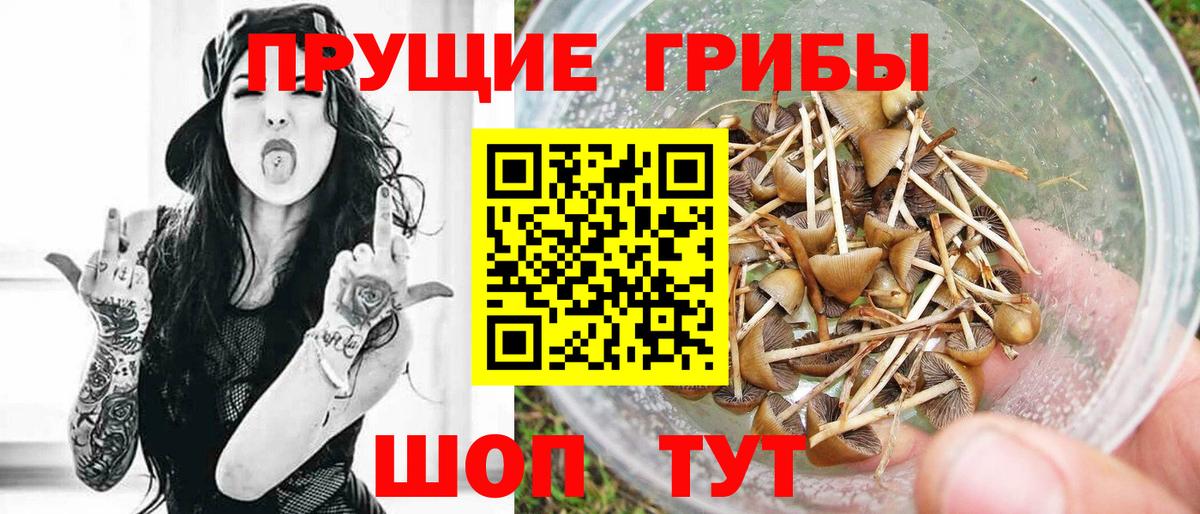 Светлоград  Псилоцибиновые грибы Magic Shrooms  Вход с VPN 